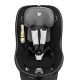 piddle pad premium